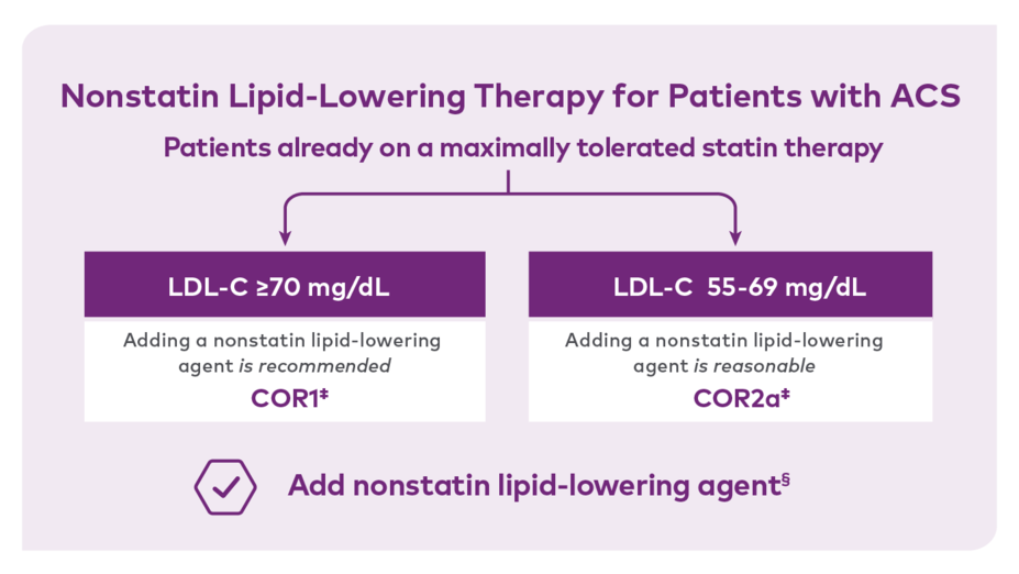 Patients already on a maximally tolerated statin therapy. LDL-C ≥70 mg/dL, adding a nonstatin lipid-lowering agent is recommended. LDL-C 55-69 mg/dL, adding a nonstatin lipid-lowering agent is reasonable. Add nonstatin lipid-lowering agent* *Nonstatin lipid-lowering agents include Leqvio, ezetimibe, evolocumab, alirocumab, and bempedoic acid