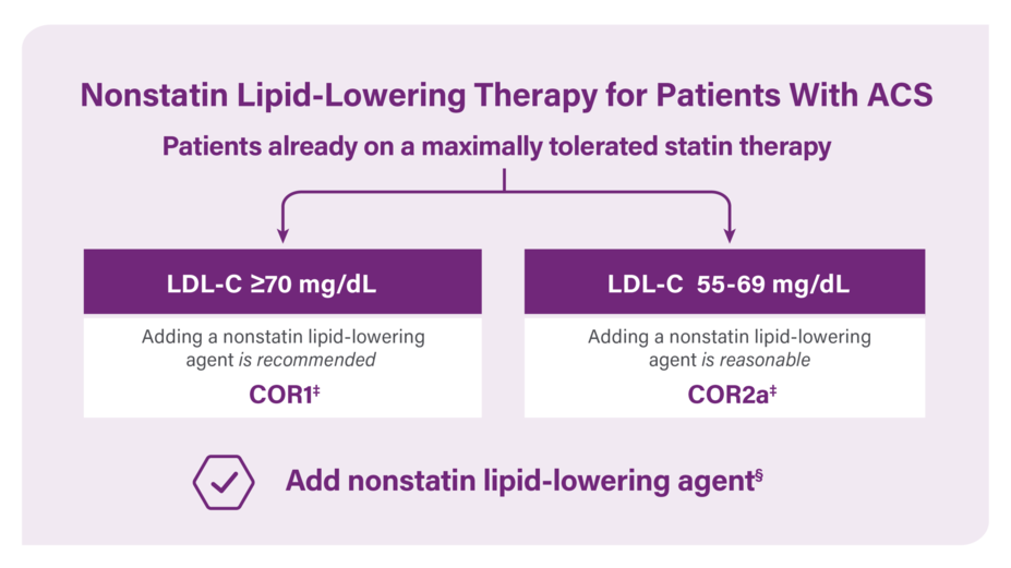 Patients already on a maximally tolerated statin therapy. LDL-C ≥70 mg/dL, adding a nonstatin lipid-lowering agent is recommended. LDL-C 55-69 mg/dL, adding a nonstatin lipid-lowering agent is reasonable. Add nonstatin lipid-lowering agent* *Nonstatin lipid-lowering agents include Leqvio, ezetimibe, evolocumab, alirocumab, and bempedoic acid